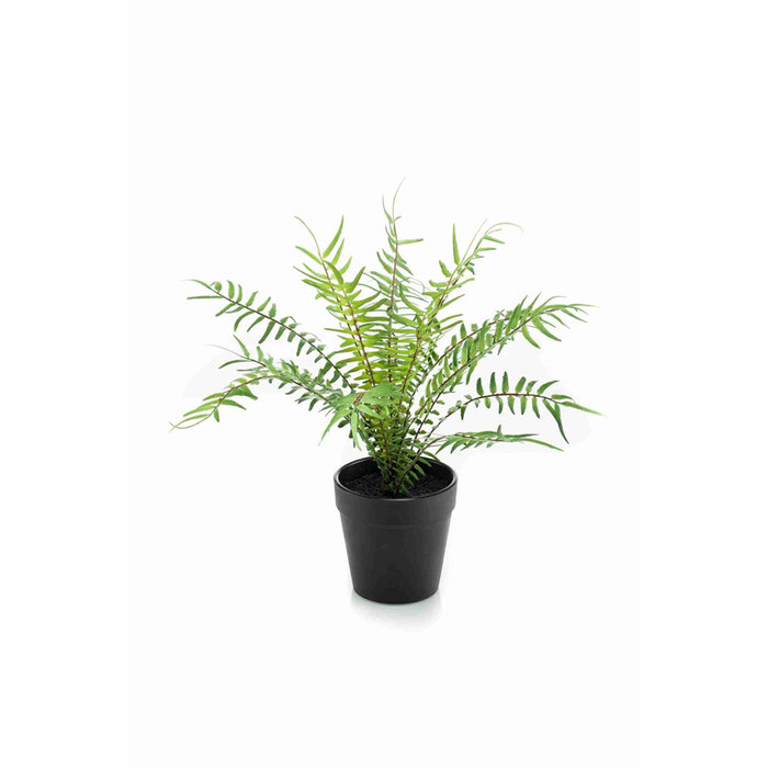 Emerald Kunsplant Varen blechnum 20cm in zwarte pot