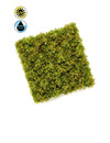 Emerald Kunsthaag Ijsland mos mat weer/uv resistant 50x50cm