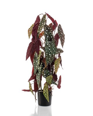 Emerald Kunstplant Begonia maculata 3 stengels 75cm