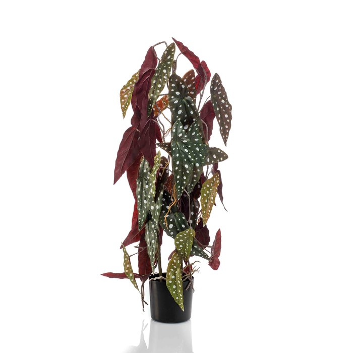 Emerald Kunstplant Begonia maculata 3 stengels 75cm
