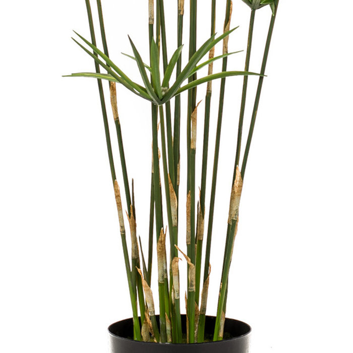 Emerald Kunst Grasplant Cyperus 90cm