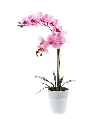 Emerald Kunstplant Vlinderorchideerose 65cm in witte pot
