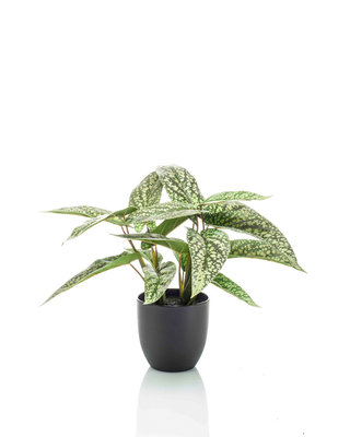 Emerald Kunstplant Calathea stippen 38cm in pot