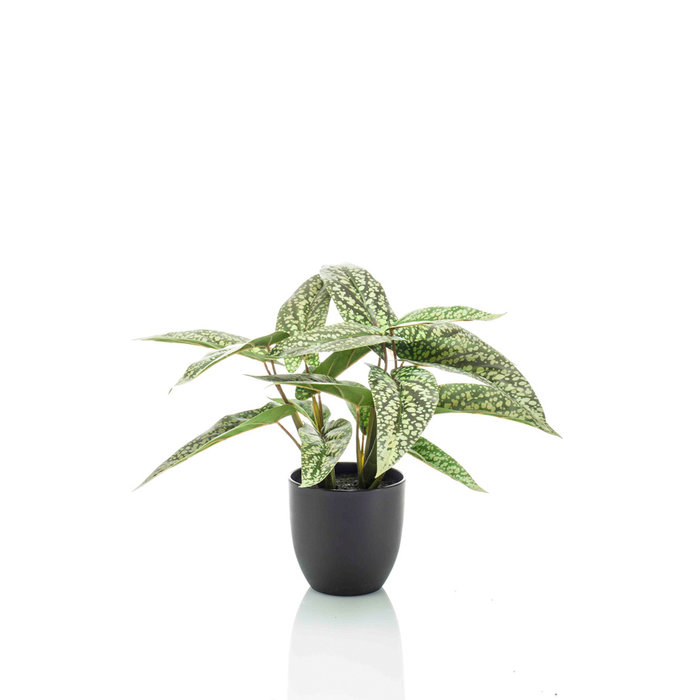 Emerald Kunstplant Calathea stippen 38cm in pot