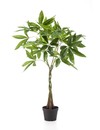 Emerald Kunstplant Pachira 90cm