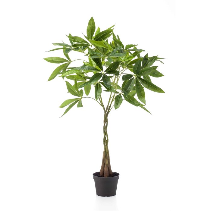 Emerald Kunstplant Pachira 90cm