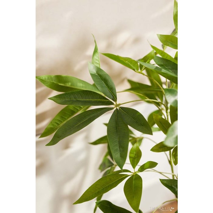 Emerald Kunstplant Pachira 90cm
