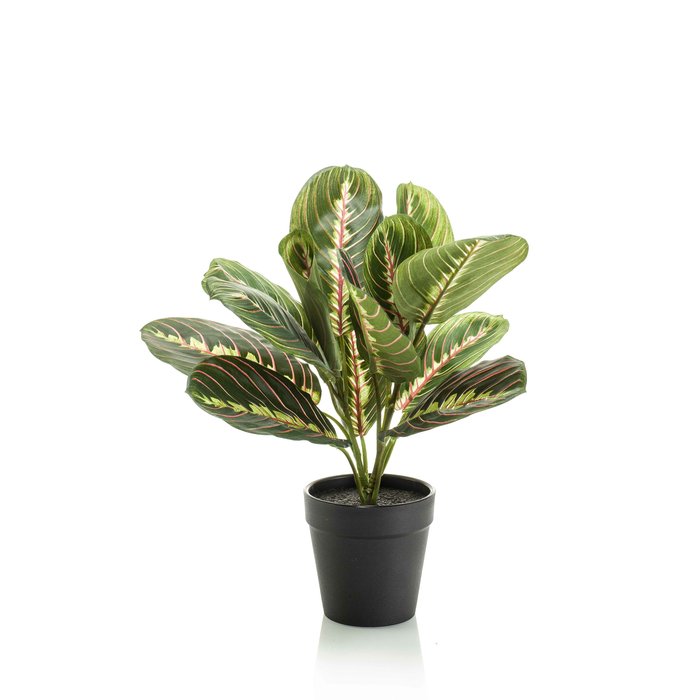 Emerald Kunstplant Maranta groen 30cm