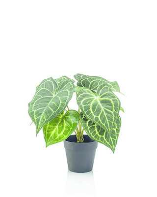 Emerald Kunstplant Anthurium bush in pot 23cm