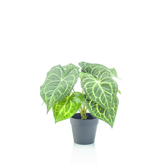 Emerald Kunstplant Anthurium bush in pot 23cm