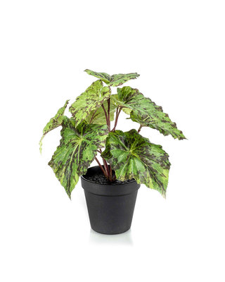 Emerald Kunstplant Begonia groen 25cm in zwarte pot
