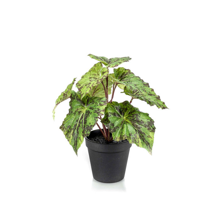 Emerald Kunstplant Begonia groen 25cm in zwarte pot