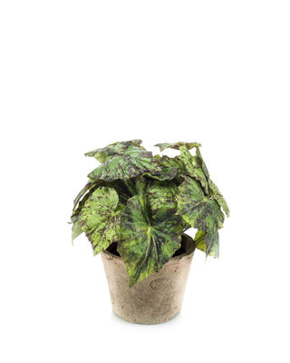 Emerald Kunstplant Begonia groen 25cm in aged pot