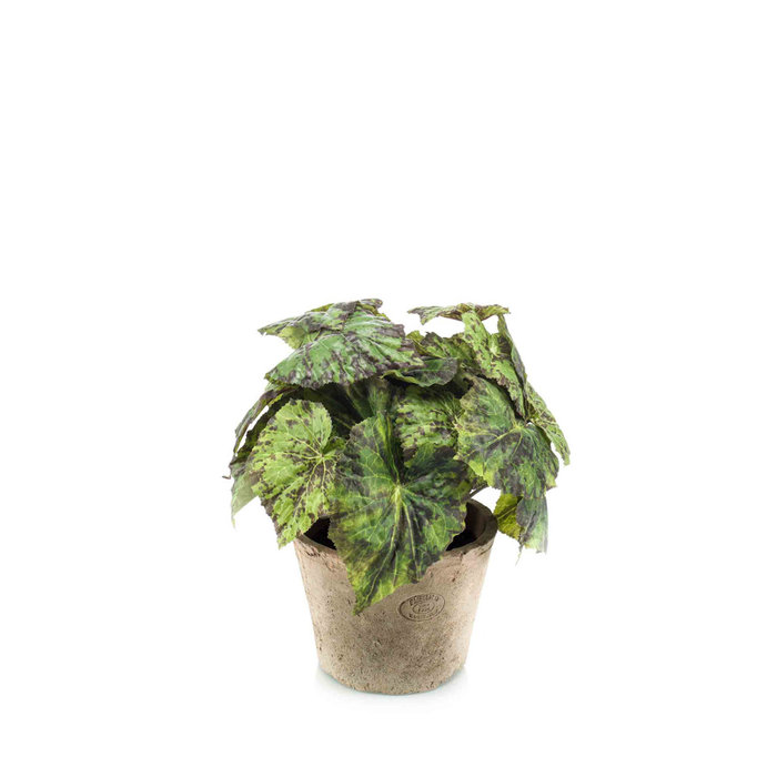 Emerald Kunstplant Begonia groen 25cm in aged pot