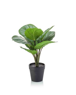 Emerald Kunstplant Calathea groen/grijs 30cm in zwarte pot