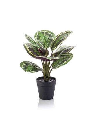 Emerald Kunstplant Calathea tt groen 30cm in zwarte pot