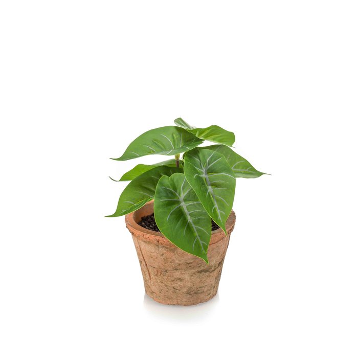 Emerald Kunstplant Anthurium mini 13cm in terracotta pot