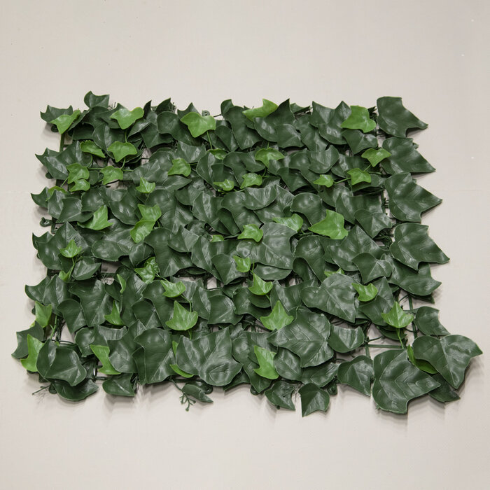 Floralike Klimop budget kunsthaag 50x50cm