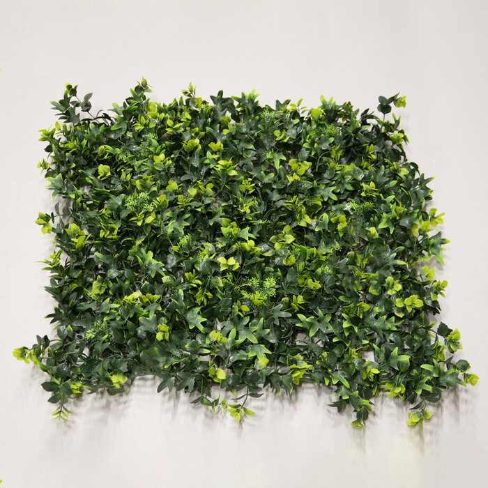 Floralike Tuinmix Hedera kunsthaag 50x50cm