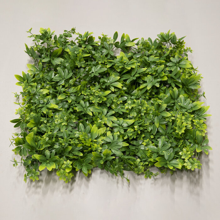 Floralike Vegetatie Schefflera kunsthaag 50x50cm