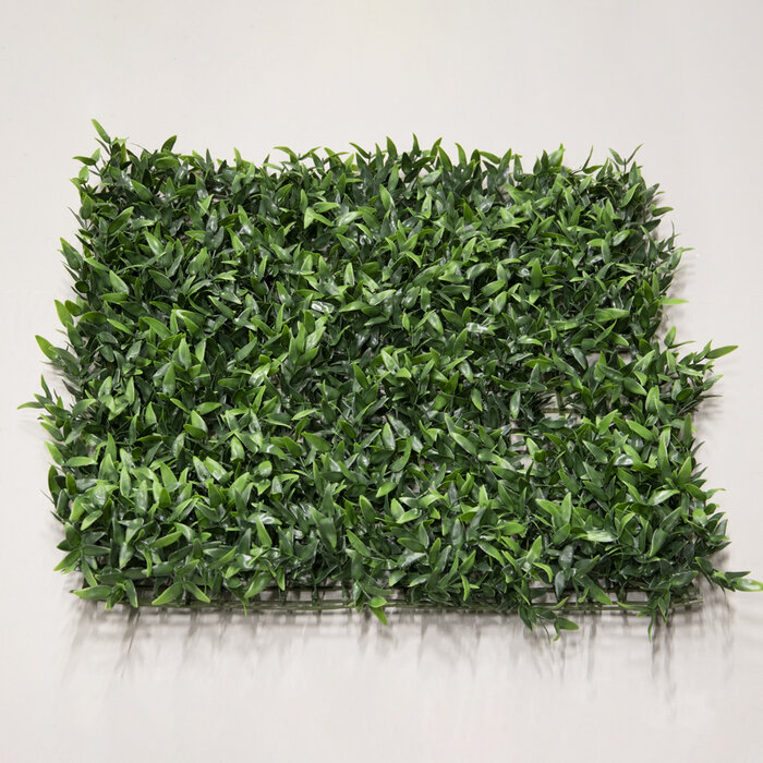 Floralike Veronica  kunsthaag 50x50cm  - Copy