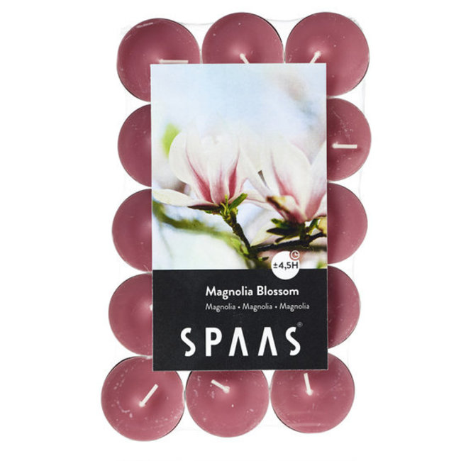 Spaas  Geurtheelichten x30 Magnolia blossom