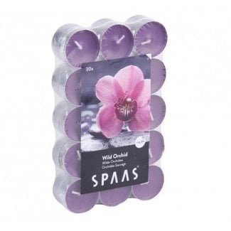 Spaas  Geurtheelichten x30 wild orchid