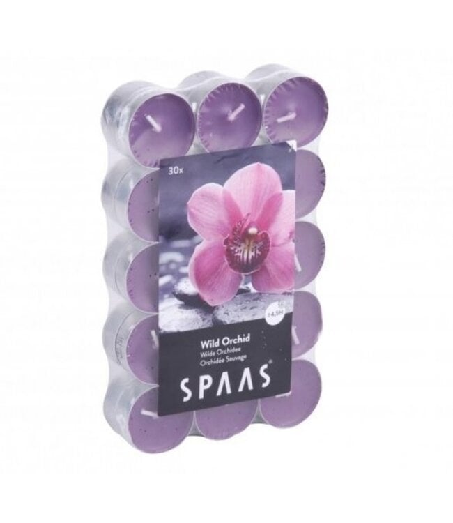 Spaas  Geurtheelichten x30 wild orchid
