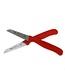 Cosy & Trendy Schilmes x2 extra scherp met plastieken handvat - roestvrij