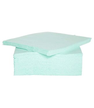 Cosy & Trendy for Professionals CT PROF SERVIET TT S40 38X38CM AQUA PAPIER TEXTIEL-TOUCH