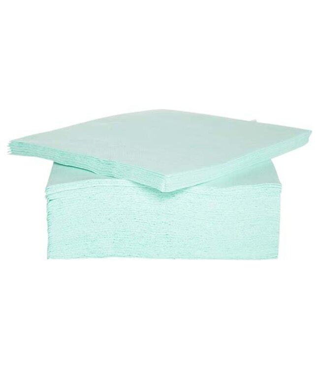 Cosy & Trendy for Professionals CT PROF SERVIET TT S40 38X38CM AQUA PAPIER TEXTIEL-TOUCH