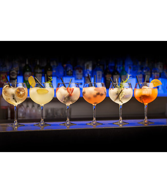 Cosy Moments Gin glazen - 70 cl - 6 stuks