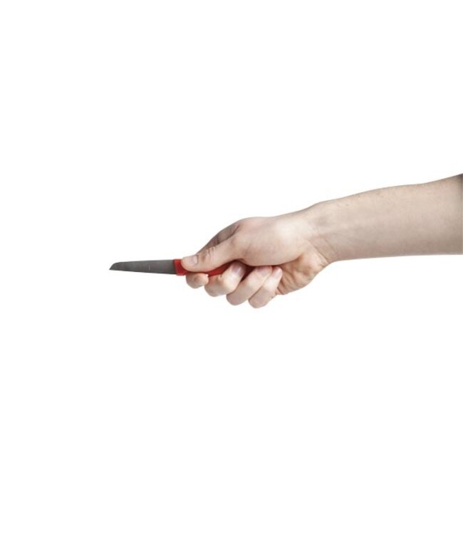 Cosy & Trendy Schilmes x2 extra scherp met plastieken handvat - roestvrij