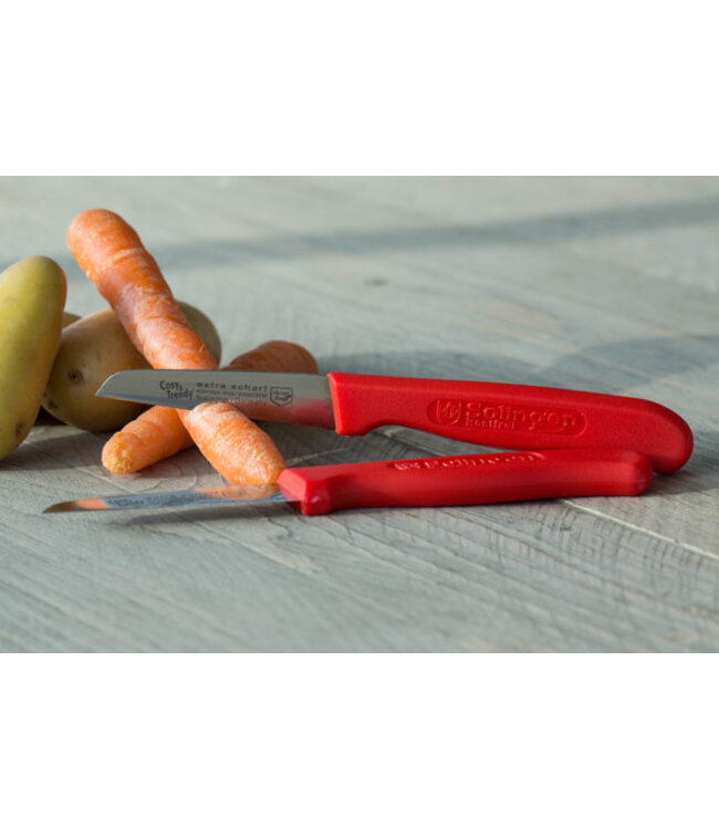 Cosy & Trendy Schilmes x2 extra scherp met plastieken handvat - roestvrij