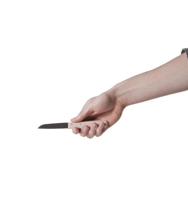 Cosy & Trendy Schilmes x2 houten handvat roestvrij