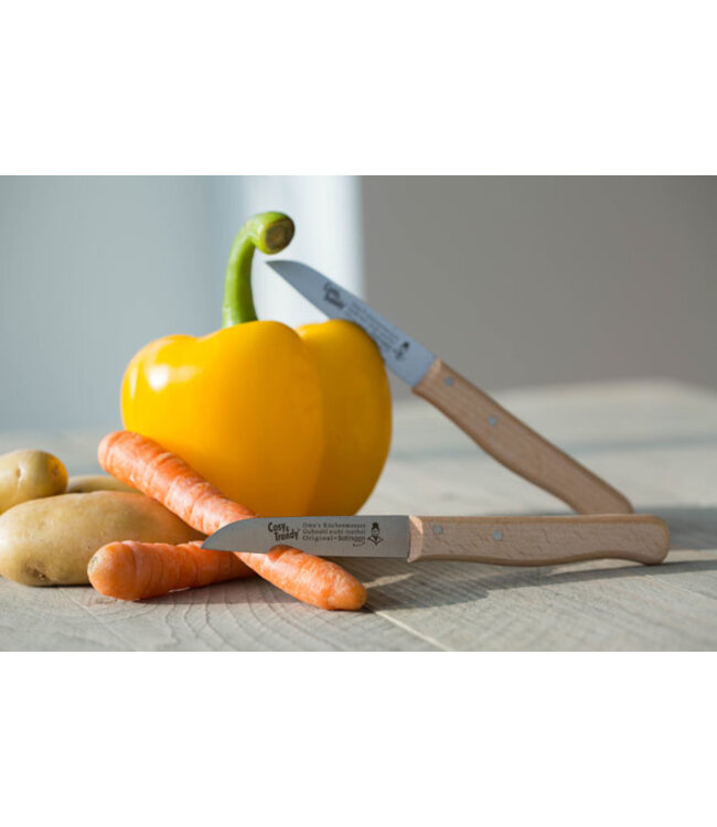 Cosy & Trendy Schilmes x2 houten handvat roestvrij