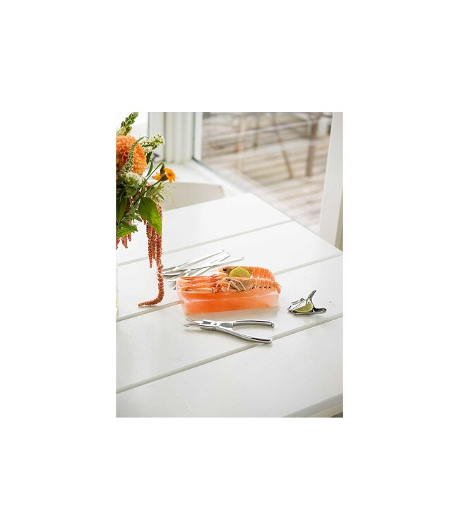 Cosy & Trendy Kreeftentang RVS