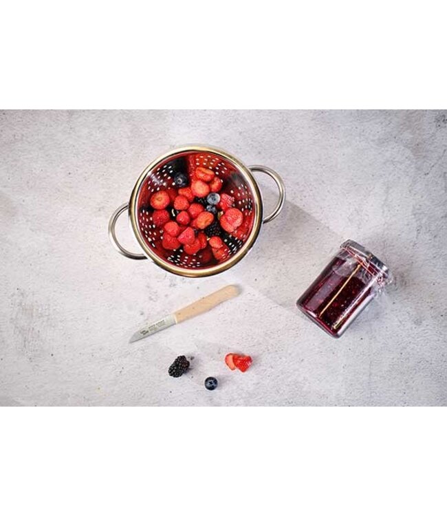 Cosy & Trendy Schilmes houten handvat roestvrij