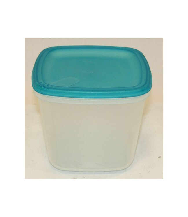 EDA Diepvriesdoos - vierkant - 2,5L