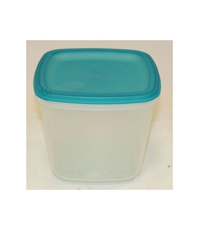 EDA Diepvriesdoos - vierkant - 0,5L