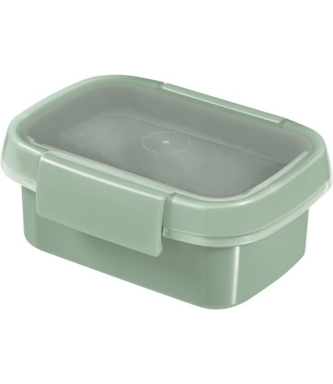 Curver Smart to Go Eco Snackbox 0,2L - Groen
