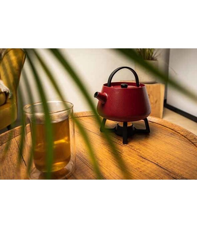 Cosy & Trendy Theepot - 0,83L - Bill merlot - gietijzer