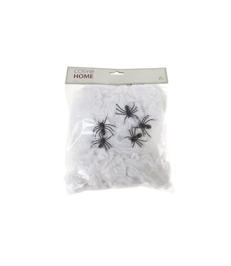 Cosy @ Home Spinnenweb wit textiel 19x26cm met 5 spinnen