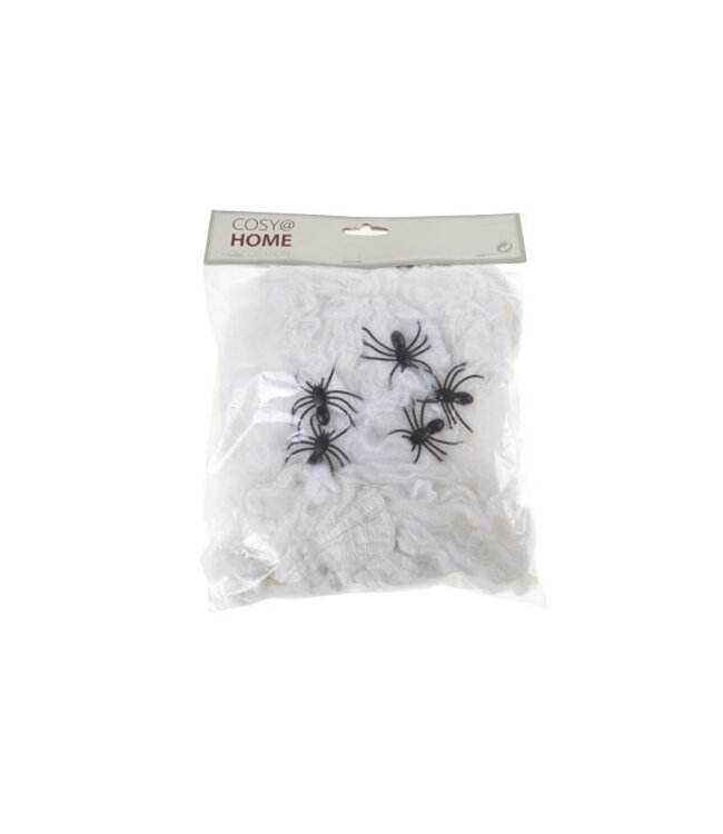 Cosy @ Home Spinnenweb wit textiel 19x26cm met 5 spinnen