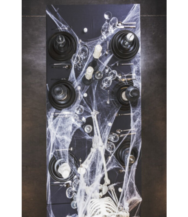 Cosy @ Home Spinnenweb wit textiel 19x26cm met 5 spinnen