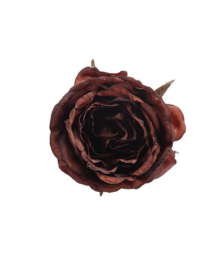 Cosy @ Home Bloem Roos met clip - Bruin - dia.9H5cm