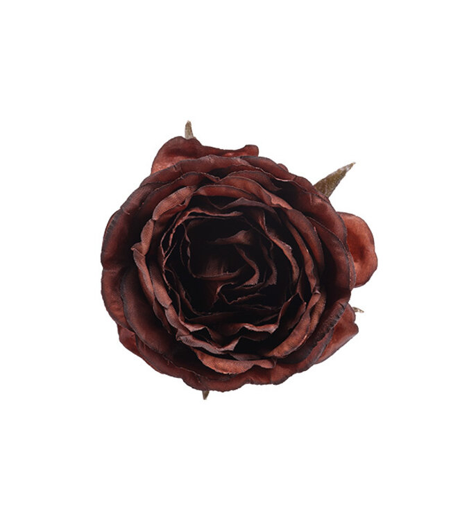 Cosy @ Home Bloem Roos met clip - Bruin - dia.9H5cm