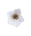 Cosy @ Home Bloem Helleboris met clip - creme - dia.9H5cm