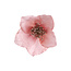 Cosy @ Home Bloem Helleboris met clip - roze - dia.9H5cm