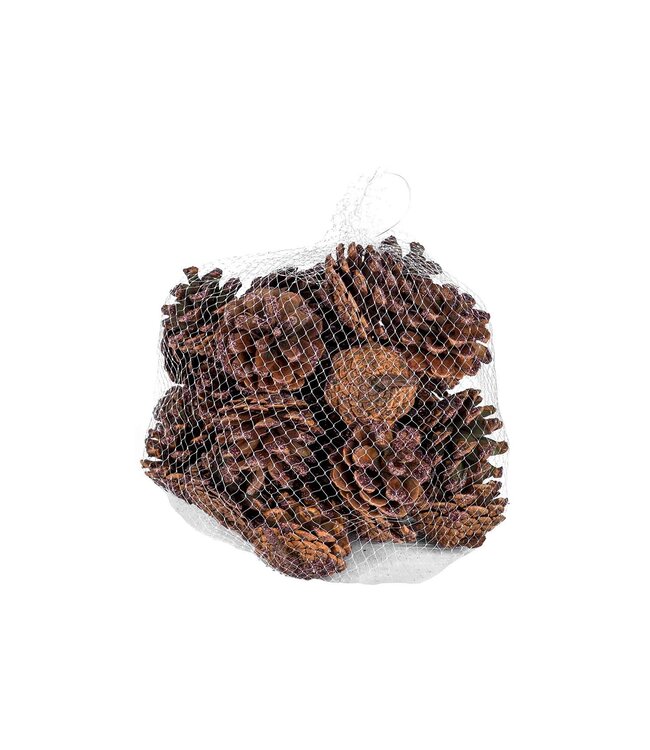 Cosy @ Home Denappels 300gr - koper glitter natuur - 5x5H5cm - hout